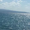 stellagiurlanda85