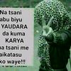 maryamaahmed04
