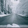jonathangomez5252