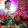 xinchao7271