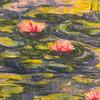 waterlilies74