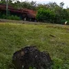 nenkasih90