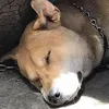 dyu2iyrgvdph