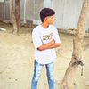 013emon__