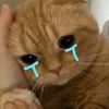 kinoymlbb