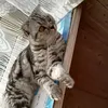 anna_shkarubova