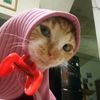 ijall.kayang