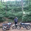 berkahsuwal