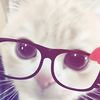 rynn_452