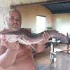 kaduexotico
