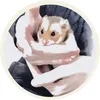 hamster.henry.ch