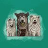 lovedog563