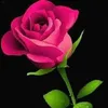 youssefchoco