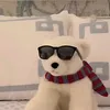 yang_dumb_broke