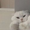 katya_010