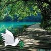 user2323818108814
