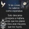 miguelbenitez804