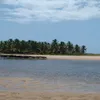 malliapaz34