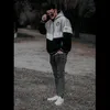 alta_pinta083