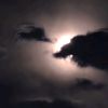 dawn_83_