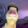 imnotopid_