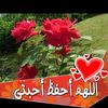 najatabdalla342