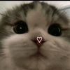 maroua_b15