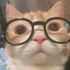caitlynsoon13