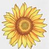 lil_sunflower0330