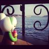 dinzx_s