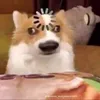 vawnbaroo