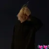pollinkwss