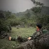 hieu20012003