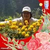 dianatriastuti59