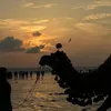 bishnugtamang