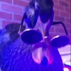 duck_with_sunglasses