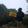 mas_rull11