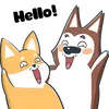 dywo3l8pi72g