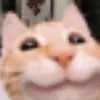 thekat444