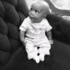 nphoeby
