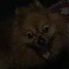 cailymw2010