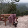 aialnasnursamsiah