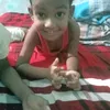 boshir293