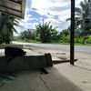 diki.darmawan8