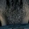 owo8_ue2