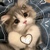 .maisha.9