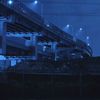 kyokyoicon