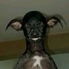 phetrnaron_gg