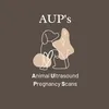 kels_animal_ultrasounds
