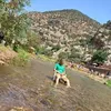 mohamedsafar451